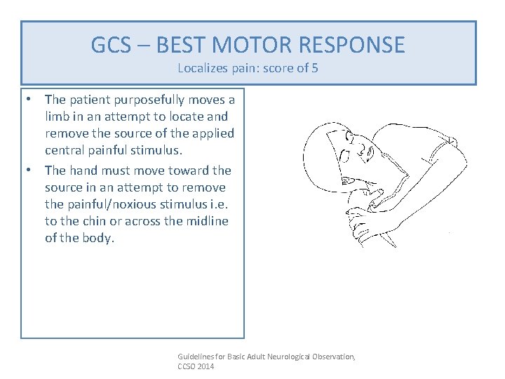 GCS – BEST MOTOR RESPONSE Localizes pain: score of 5 • The patient purposefully