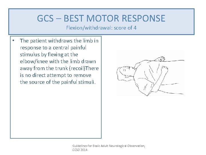 GCS –GCS BEST MOTOR RESPONSE – BEST MOTOR RESPONSE Flexion/withdrawal: score of 4 •