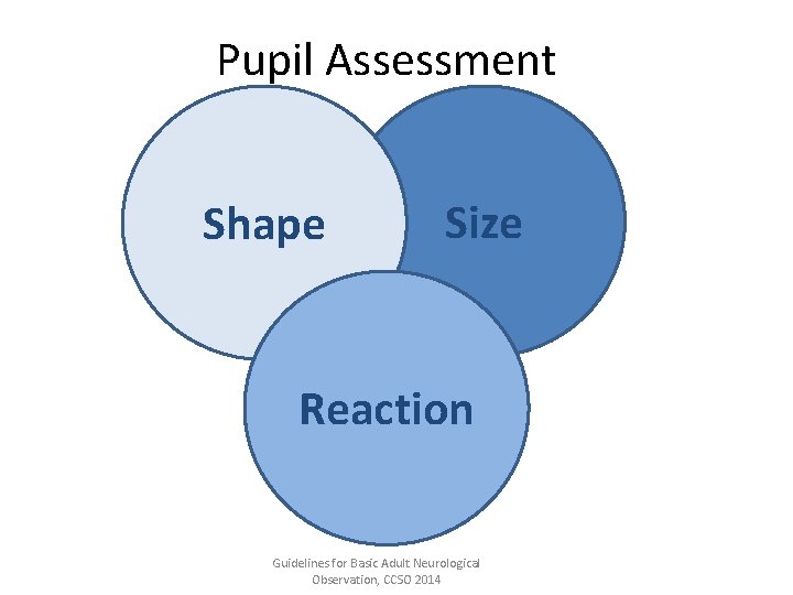 Pupil Assessment Shape Size Reaction Guidelines for Basic Adult Neurological Observation, CCSO 2014 