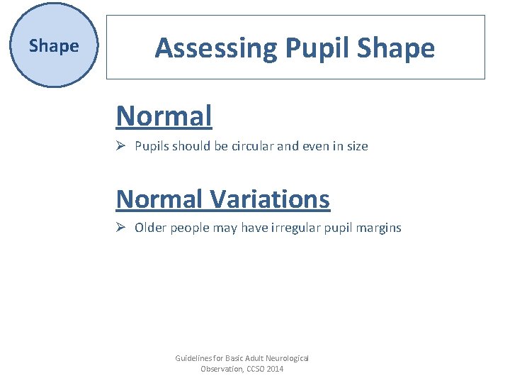 Shape Assessing Pupil Shape Normal Ø Pupils should be circular and even in size