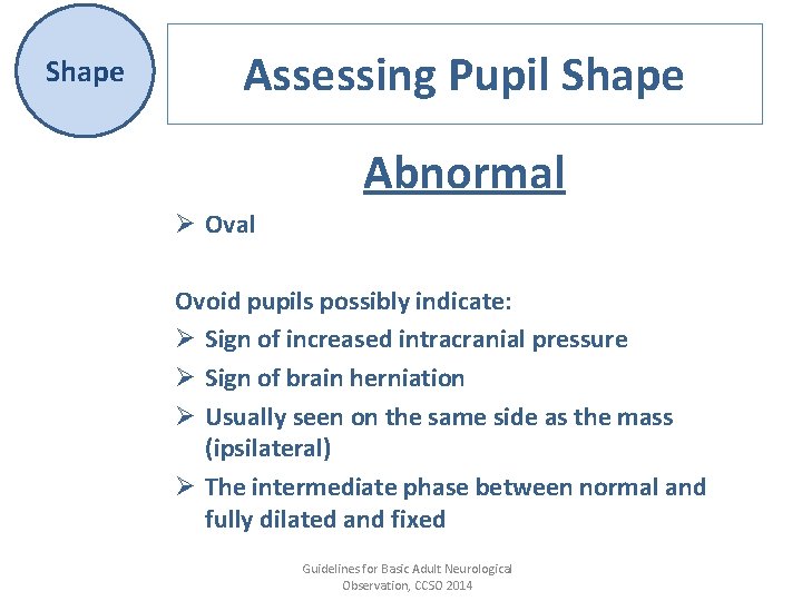 Shape Assessing Pupil Shape Abnormal Ø Oval Ovoid pupils possibly indicate: Ø Sign of