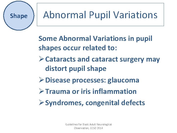 Shape Abnormal Pupil Variations Some Abnormal Variations in pupil shapes occur related to: Ø