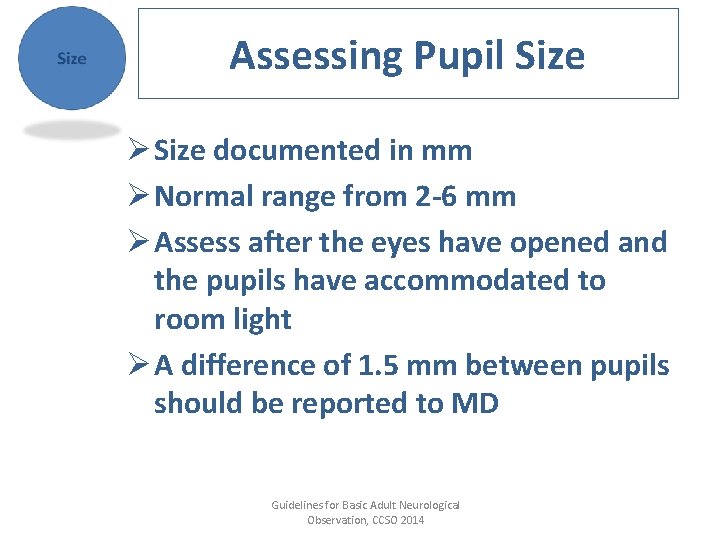 Assessing Pupil Size Ø Size documented in mm Ø Normal range from 2 -6