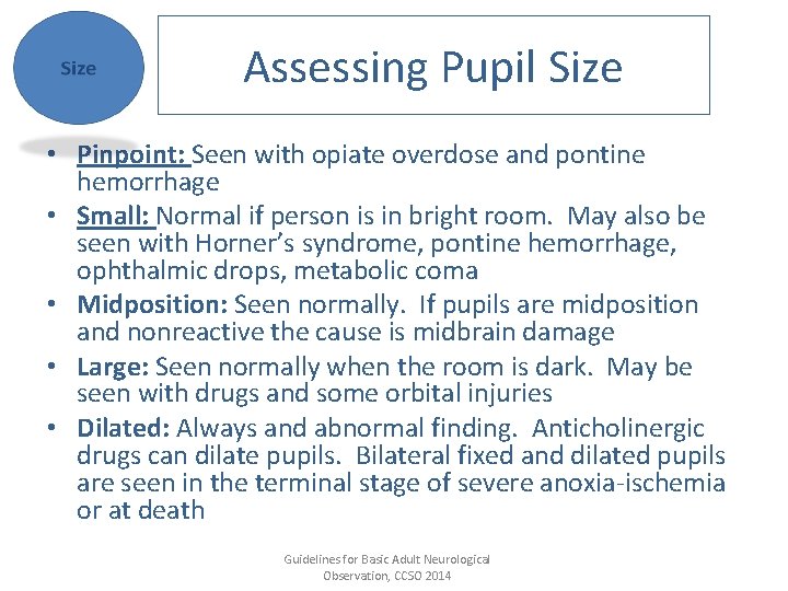 Assessing Pupil Size • Pinpoint: Seen with opiate overdose and pontine hemorrhage • Small: