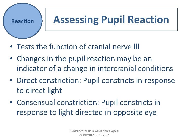 Reaction Assessing Pupil Reaction • Tests the function of cranial nerve lll • Changes