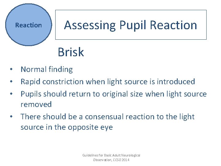 Reaction Assessing Pupil Reaction Brisk • Normal finding • Rapid constriction when light source