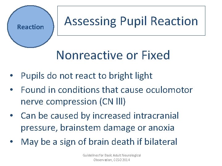 Reaction Assessing Pupil Reaction Nonreactive or Fixed • Pupils do not react to bright