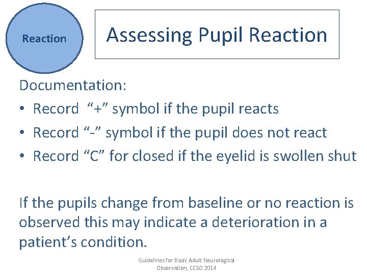 Reaction Assessing Pupil Reaction Documentation: • Record “+” symbol if the pupil reacts •