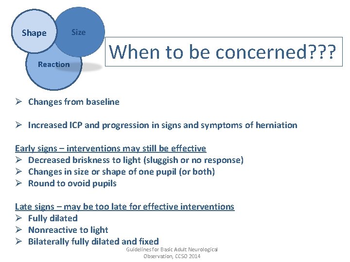 Shape Reaction When to be concerned? ? ? Ø Changes from baseline Ø Increased