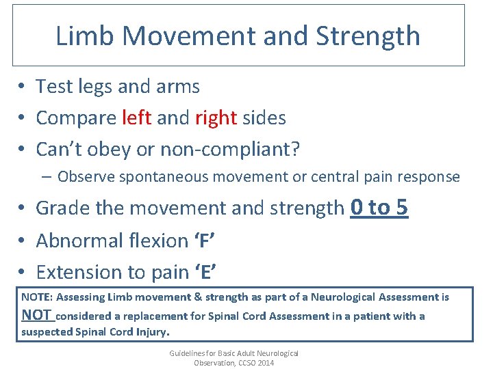 Limb Movement and Strength • Test legs and arms • Compare left and right