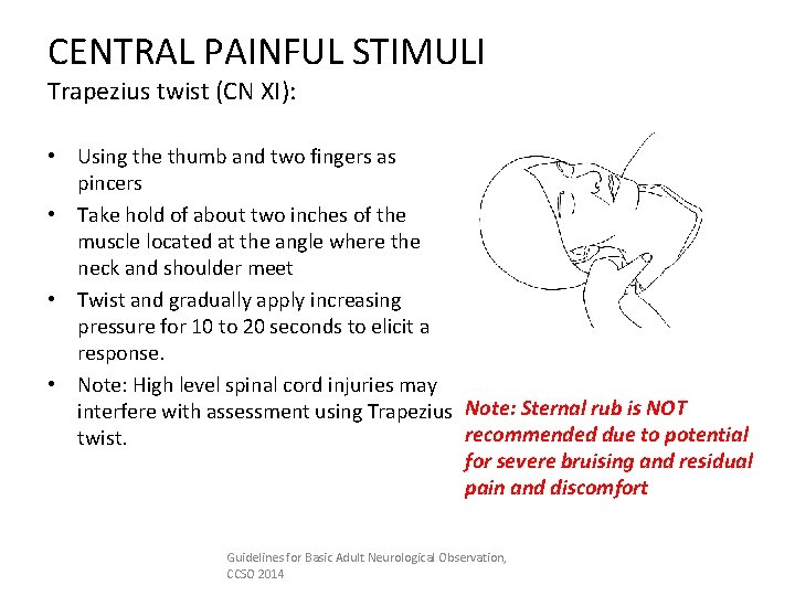 CENTRAL PAINFUL STIMULI Trapezius twist (CN XI): • Using the thumb and two fingers