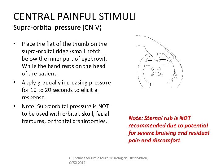 CENTRAL PAINFUL STIMULI Supra-orbital pressure (CN V) • Place the flat of the thumb