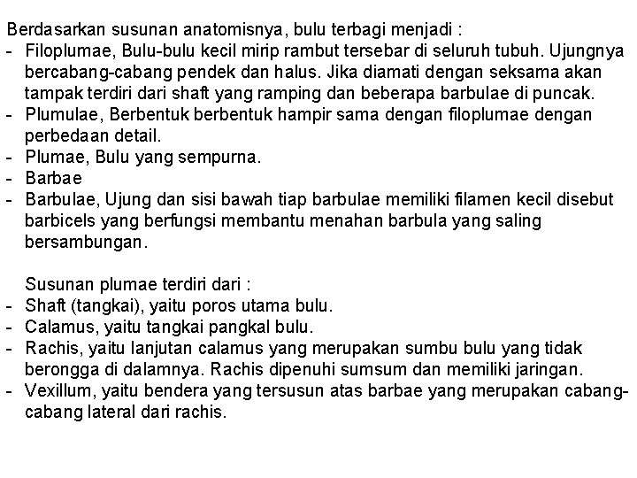 Berdasarkan susunan anatomisnya, bulu terbagi menjadi : - Filoplumae, Bulu-bulu kecil mirip rambut tersebar