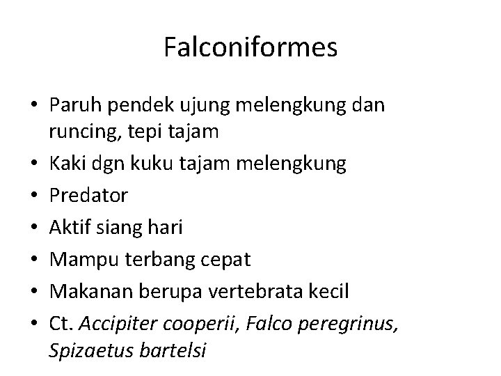Falconiformes • Paruh pendek ujung melengkung dan runcing, tepi tajam • Kaki dgn kuku