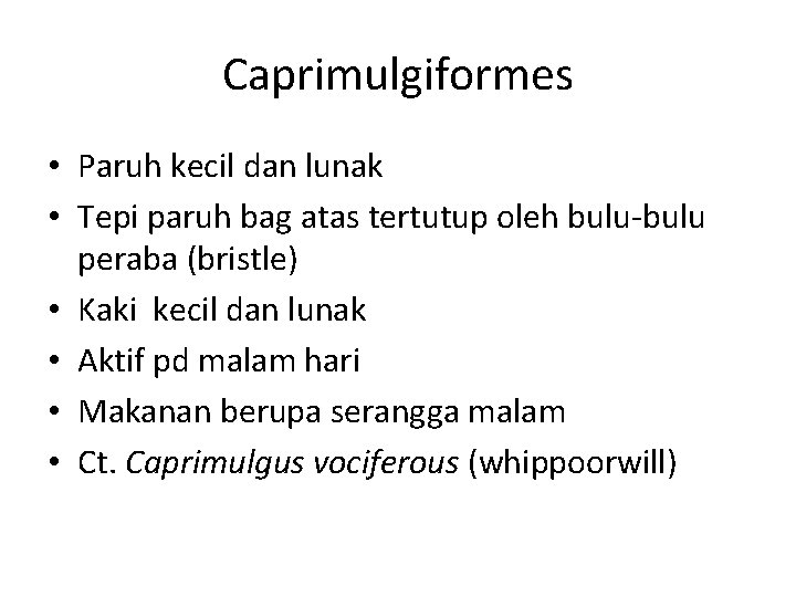 Caprimulgiformes • Paruh kecil dan lunak • Tepi paruh bag atas tertutup oleh bulu-bulu