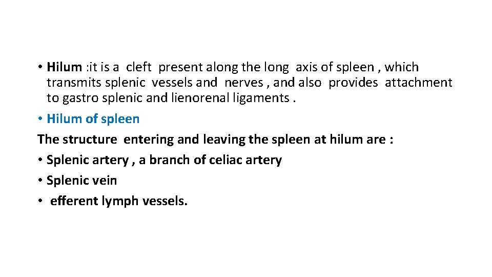  • Hilum : it is a cleft present along the long axis of