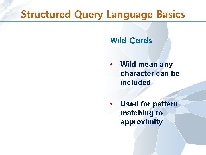 Structured Query Language Basics Wild Cards • Wild mean any character can be included