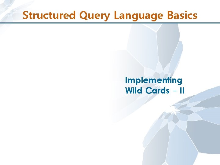 Structured Query Language Basics Implementing Wild Cards - II 