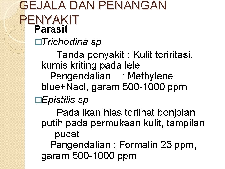 GEJALA DAN PENANGAN PENYAKIT Parasit �Trichodina sp Tanda penyakit : Kulit teriritasi, kumis kriting