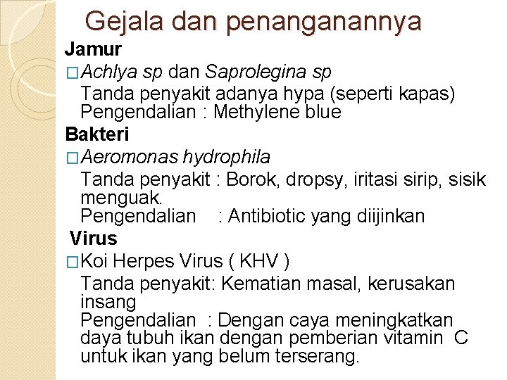 Gejala dan penanganannya Jamur �Achlya sp dan Saprolegina sp Tanda penyakit adanya hypa (seperti