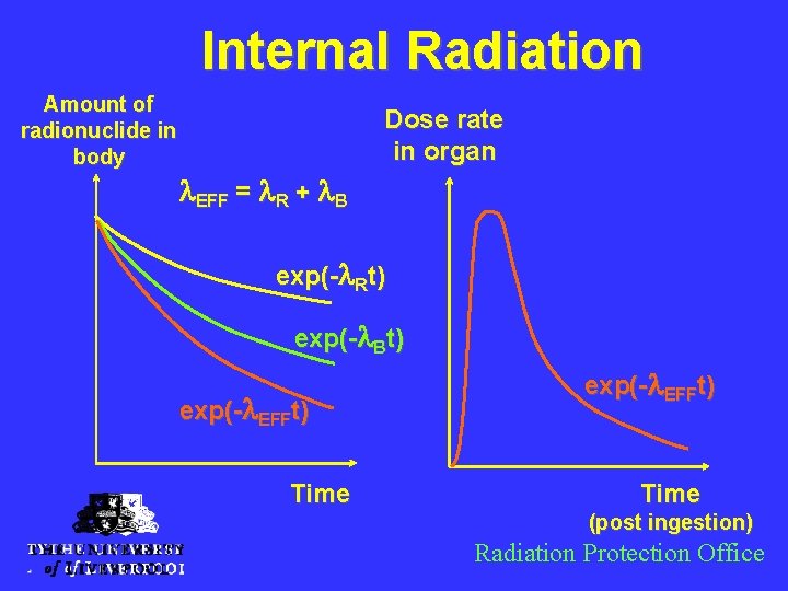 Internal Radiation Amount of radionuclide in body Dose rate in organ l. EFF =