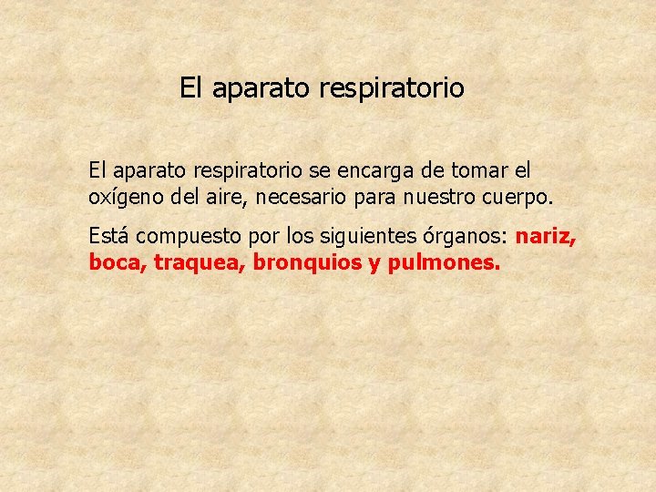 El aparato respiratorio se encarga de tomar el oxígeno del aire, necesario para nuestro El aparato respiratorio se encarga de tomar el oxígeno del aire, necesario para nuestro
