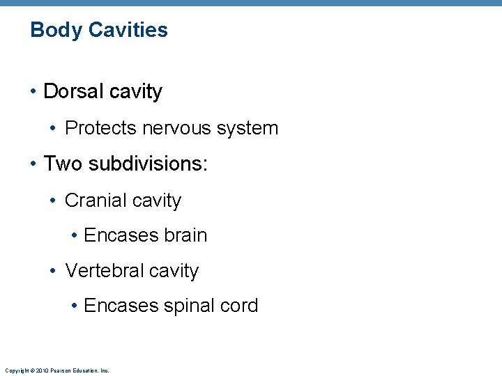 Body Cavities • Dorsal cavity • Protects nervous system • Two subdivisions: • Cranial