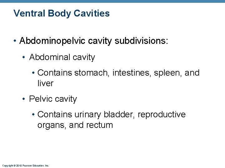 Ventral Body Cavities • Abdominopelvic cavity subdivisions: • Abdominal cavity • Contains stomach, intestines,