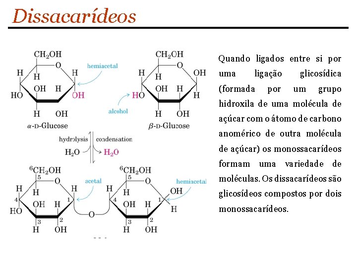 Dissacarídeos Quando ligados entre si por uma ligação (formada por glicosídica um grupo hidroxila