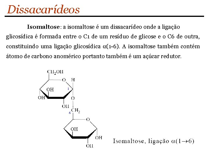 Dissacarídeos Isomaltose: a isomaltose é um dissacarídeo onde a ligação glicosídica é formada entre