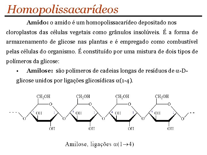 Homopolissacarídeos Amido: o amido é um homopolissacarídeo depositado nos cloroplastos das células vegetais como