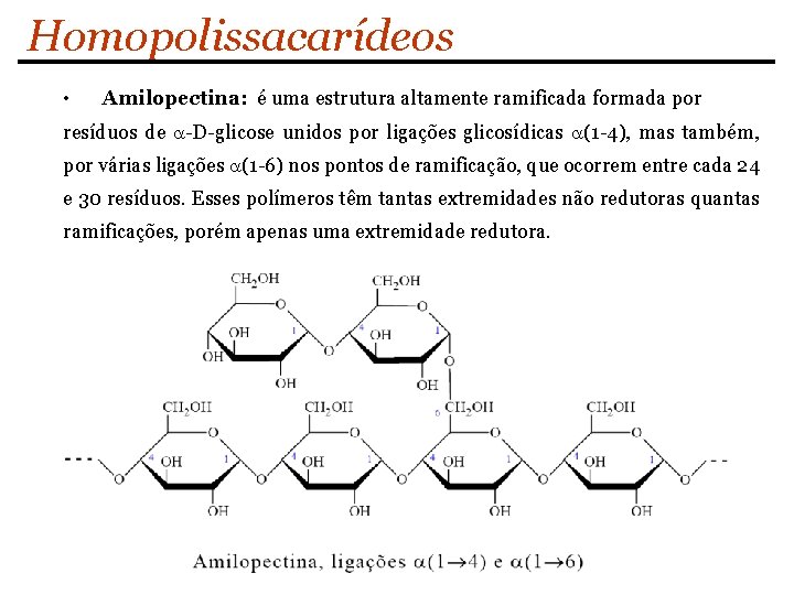 Homopolissacarídeos • Amilopectina: é uma estrutura altamente ramificada formada por resíduos de a-D-glicose unidos