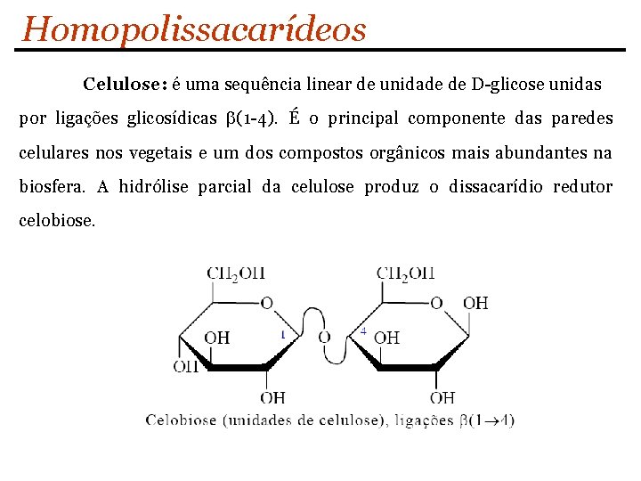 Homopolissacarídeos Celulose: é uma sequência linear de unidade de D-glicose unidas por ligações glicosídicas