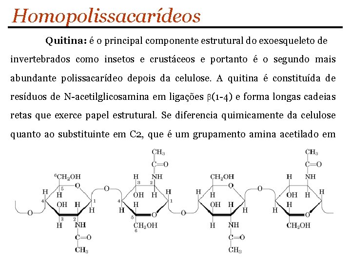 Homopolissacarídeos Quitina: é o principal componente estrutural do exoesqueleto de invertebrados como insetos e