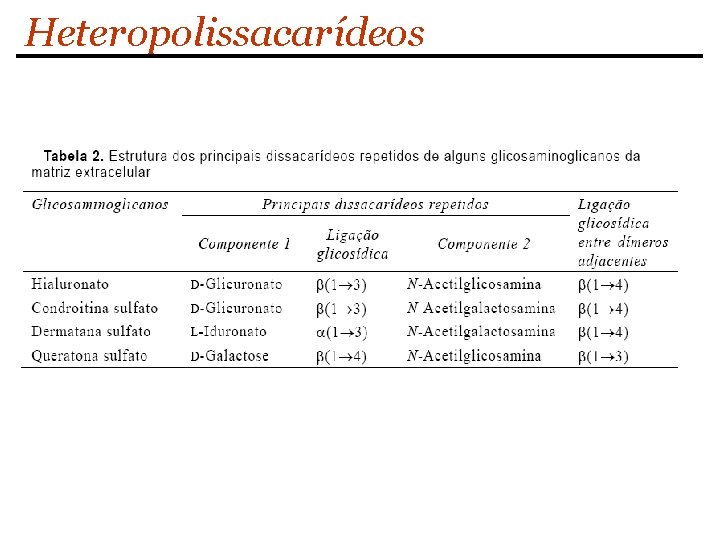 Heteropolissacarídeos 