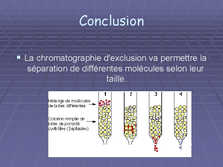Conclusion § La chromatographie d'exclusion va permettre la séparation de différentes molécules selon leur