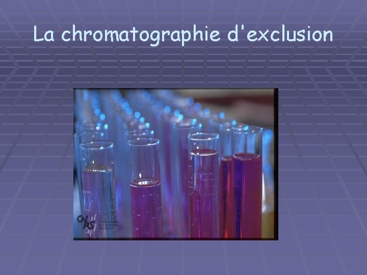 La chromatographie d'exclusion 