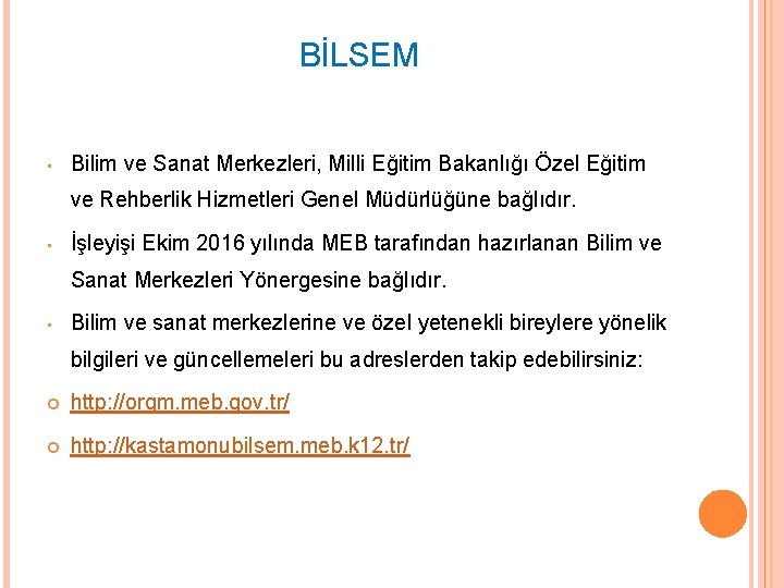 BİLSEM • Bilim ve Sanat Merkezleri, Milli Eğitim Bakanlığı Özel Eğitim ve Rehberlik Hizmetleri