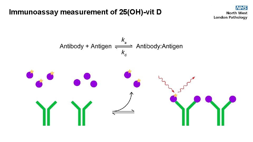Immunoassay measurement of 25(OH)-vit D 