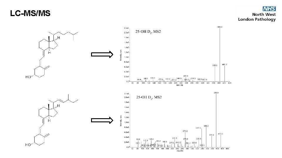 LC-MS/MS 