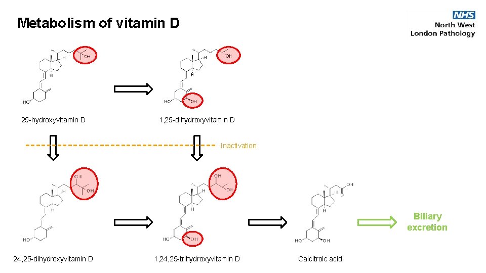 Metabolism of vitamin D 25 -hydroxyvitamin D 1, 25 -dihydroxyvitamin D Inactivation Biliary excretion