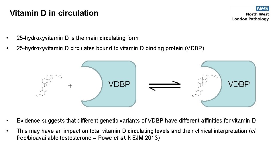 Vitamin D in circulation • 25 -hydroxyvitamin D is the main circulating form •