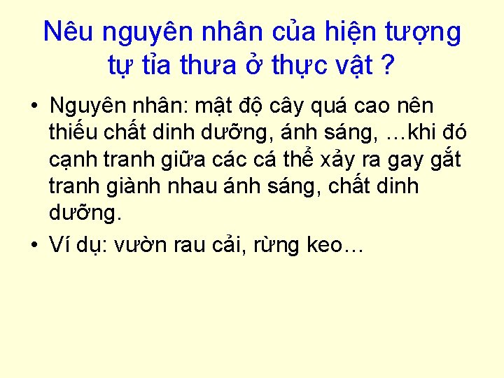 Nêu nguyên nhân của hiện tượng tự tỉa thưa ở thực vật ? •