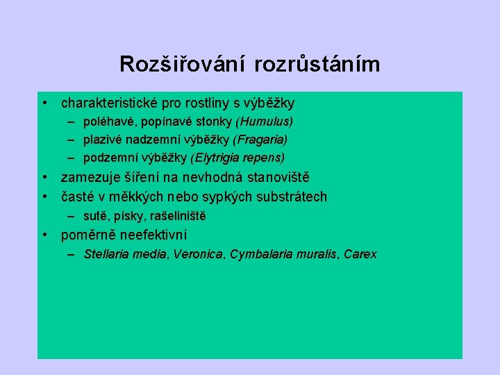 Rozšiřování rozrůstáním • charakteristické pro rostliny s výběžky – poléhavé, popínavé stonky (Humulus) –