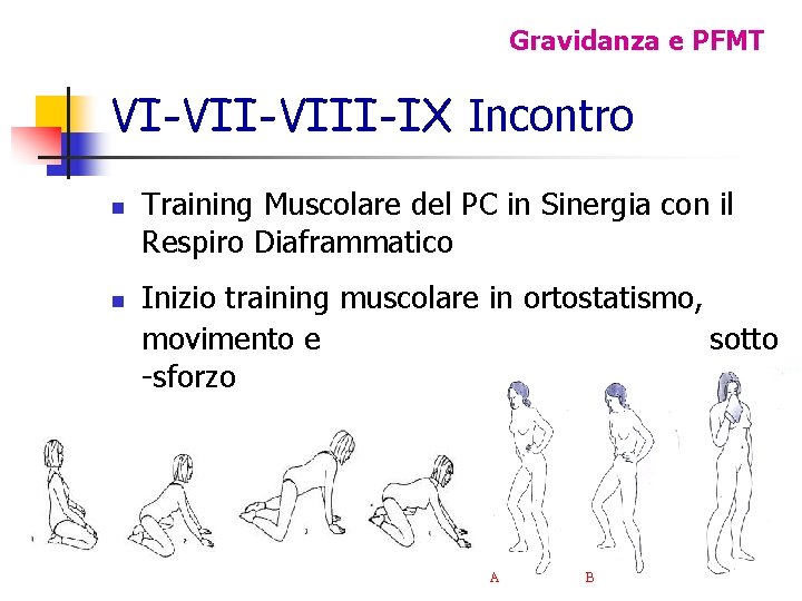 Gravidanza e PFMT VI-VIII-IX Incontro n n Training Muscolare del PC in Sinergia con