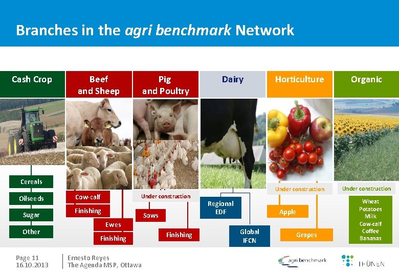 Branches in the agri benchmark Network Cash Crop Beef and Sheep Pig and Poultry