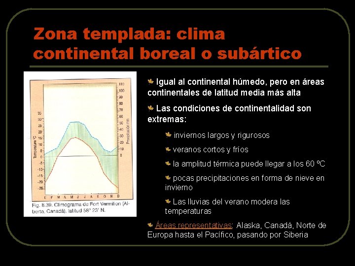 Zona templada: clima continental boreal o subártico Igual al continental húmedo, pero en áreas