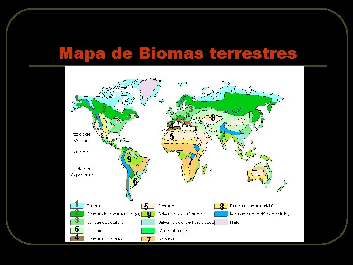 Mapa de Biomas terrestres 1 2 3 4 5 9 8 7 6 1