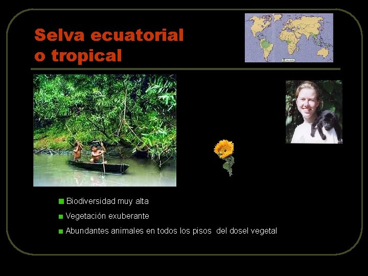 Selva ecuatorial o tropical Biodiversidad muy alta Vegetación exuberante Abundantes animales en todos los