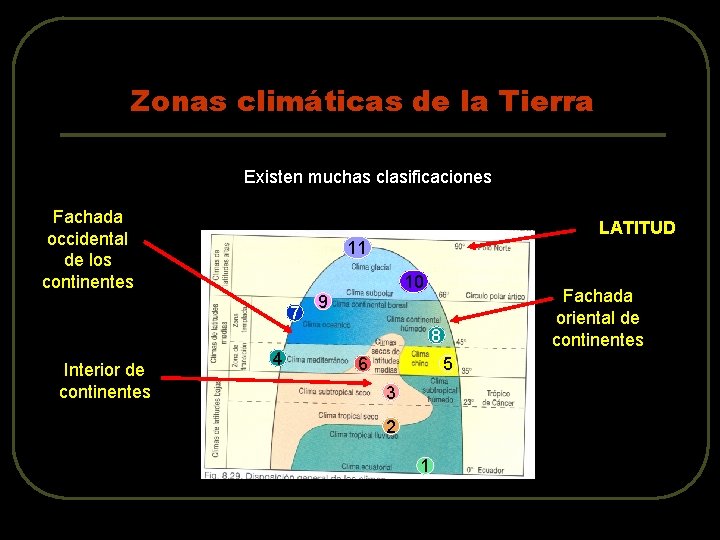 Zonas climáticas de la Tierra Existen muchas clasificaciones Fachada occidental de los continentes LATITUD